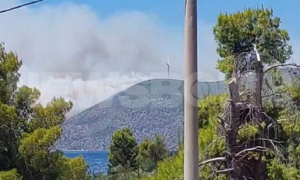 Το σημείο που ξεκίνησε η φωτιά στην Αττικοβοιωτία