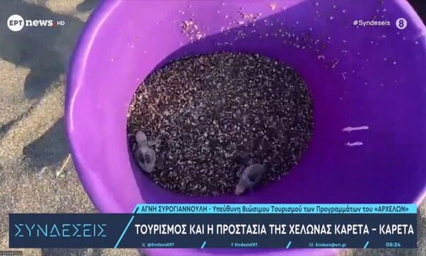 Τουρισμός και η προστασία της χελώνας καρέτα-καρέτα