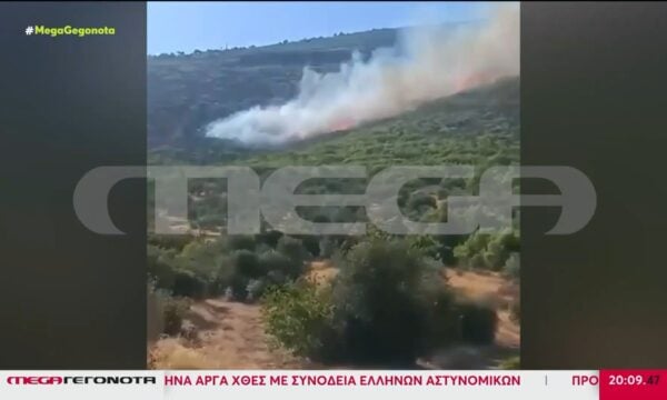 Τρεις στη φυλακή για την πυρκαγιά στη Βοιωτία – Συνεχίζονται οι αυτοψίες στα καμένα