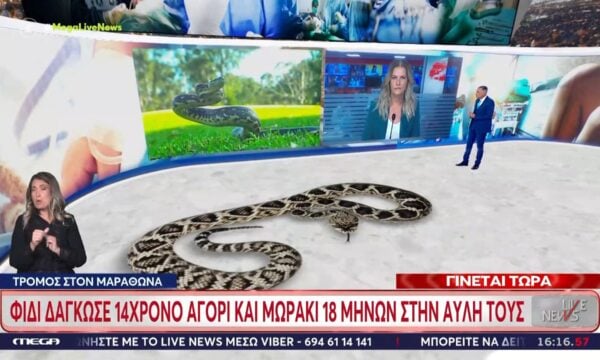Τρόμος στον Μαραθώνα: Φίδι δάγκωσε 14χρονο αγόρι και μωράκι 18 μηνών στην αυλή του σπιτιού τους