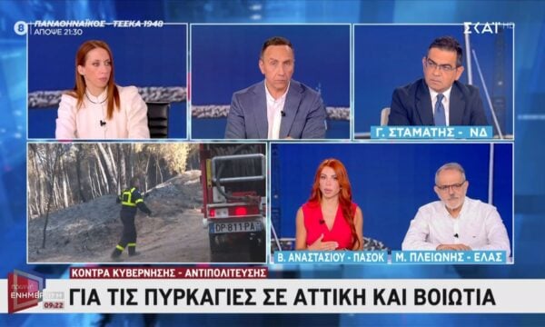 Β. Αναστασίου για πυρκαγιές: «Η ΝΔ πρέπει να λογοδοτήσει απέναντι στον ελληνικό λαό ως προς το που διατέθηκαν οι πόροι»