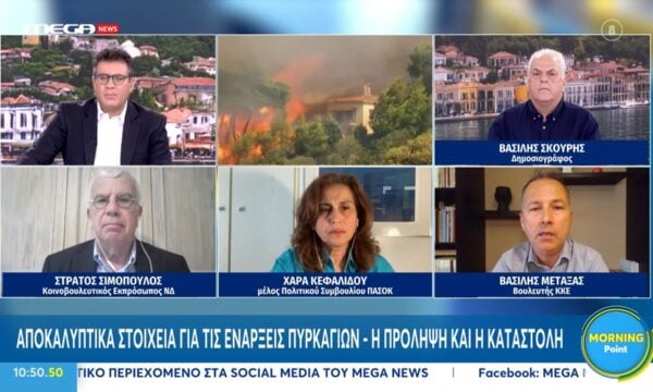 Β. Μεταξάς: «Είμαστε στο ίδιο έργο θεατές – Η επένδυση γίνεται πάλι για κερδοφορία»