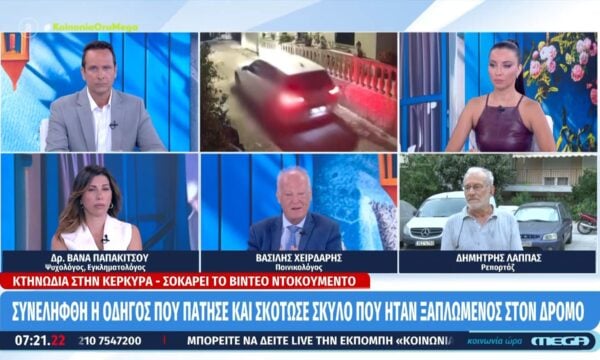 Β. Παπακίτσου, ψυχολόγος: «Κάποιος που φέρεται βίαια σε κάποιον που δε μπορεί να ανταποδώσει, είναι ένας άνθρωπος χωρίς ενσυναίσθηση»