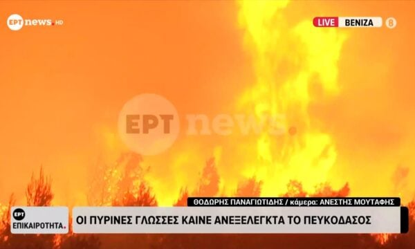 Βενίζα: Διαρκείς απόπειρες πυροσβεστών να προσεγγίσουν το ανεξέλεγκτο μέτωπο