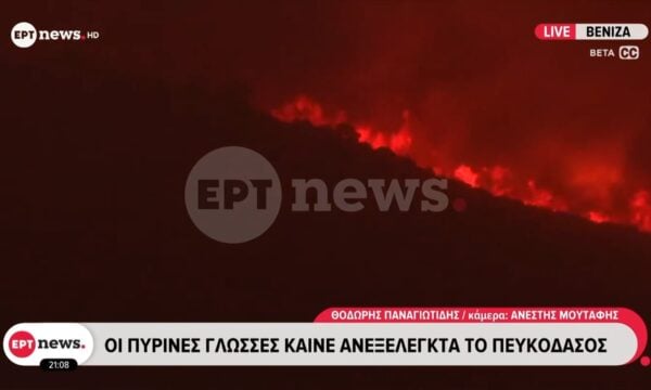 Βενίζα Μεγάρων: Οι πύρινες γλώσσες καίνε ανεξέλεγκτα το πευκοδάσος
