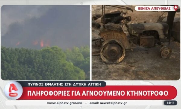Βένιζα: Πληροφορίες για αγνοούμενο κτηνοτρόφο