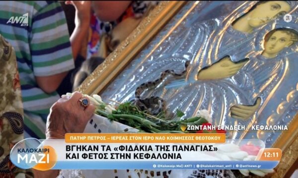 Βγήκαν τα “φιδάκια της Παναγίας” και φέτος στην Κεφαλονιά – Καλοκαίρι Μαζί – 14/08/2026