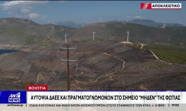 Βοιωτία: Αυτοψία ΔΑΕΕ και πραγματογνωμόνων στο σημείο “μηδέν” της φωτιάς