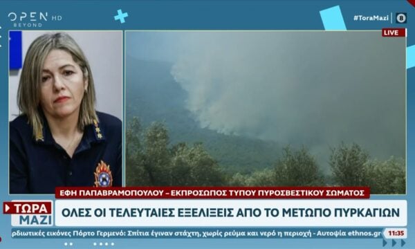 Βοιωτία: Όλες οι τελευταίες εξελίξεις από το πύρινο μέτωπο – 625 πυροσβέστες στη μάχη