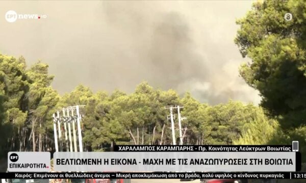 Βοιωτία: Βελτιωμένη η εικόνα – Μάχη με τις αναζωπυρώσεις