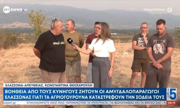 Βοήθεια από τους κυνηγούς ζητούν οι αμυγδαλοπαραγωγοί Ελασσόνας γιατί τα αγριογούρουνα καταστρέφουν την σοδειά τους