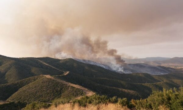 Υπό πλήρη έλεγχο η φωτιά στη Λιβαδειά. Καταγγέλλουν εμπρησμό.