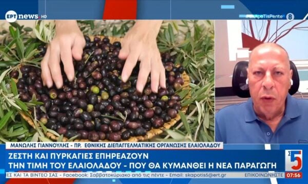 Ζέστη και πυρκαγιές επηρεάζουν την τιμή του ελαιόλαδου – Πού θα κυμανθεί η νέα παραγωγή