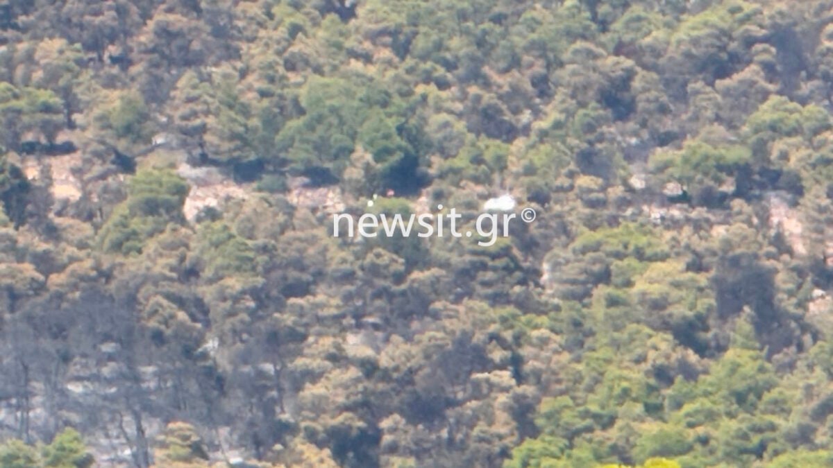 Ψάθα: Φωτογραφίες από το σημείο πτώσης των δύο ελικοπτέρων – Δύο σπίτια έχουν καταστραφεί από τη φωτιά 9 Ψάθα: Φωτογραφίες από το σημείο πτώσης των δύο ελικοπτέρων – Δύο σπίτια έχουν καταστραφεί από τη φωτιά