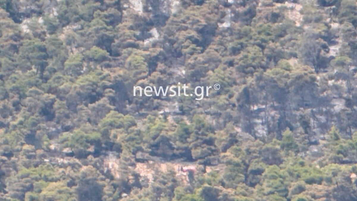 Ψάθα: Φωτογραφίες από το σημείο πτώσης των δύο ελικοπτέρων – Δύο σπίτια έχουν καταστραφεί από τη φωτιά 8 Ψάθα: Φωτογραφίες από το σημείο πτώσης των δύο ελικοπτέρων – Δύο σπίτια έχουν καταστραφεί από τη φωτιά