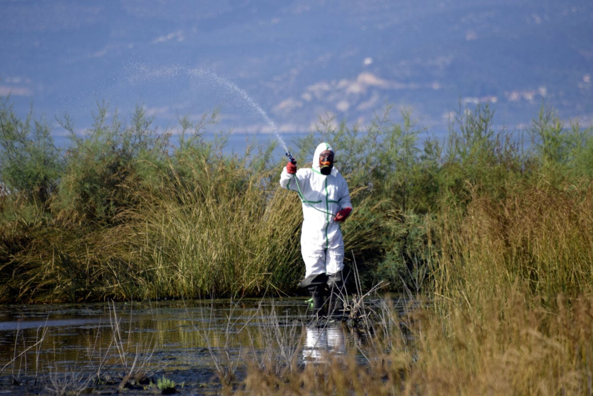 Ιός του Δυτικού Νείλου: Τα περισσότερα κρούσματα σε Λούτσα και Μαρκόπουλο – Αναμένεται αύξηση τις επόμενες ημέρες