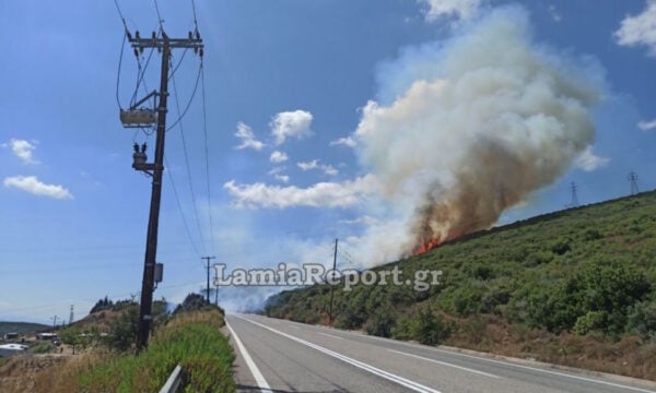 Φωτιά στην Καμηλόβρυση: Έχει περάσει την παλιά εθνική οδό Λαμίας – Λάρισας