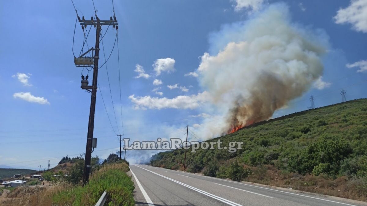 Φωτιά στην Καμηλόβρυση: Πέρασε την παλιά εθνική οδό Λαμίας – Λάρισας