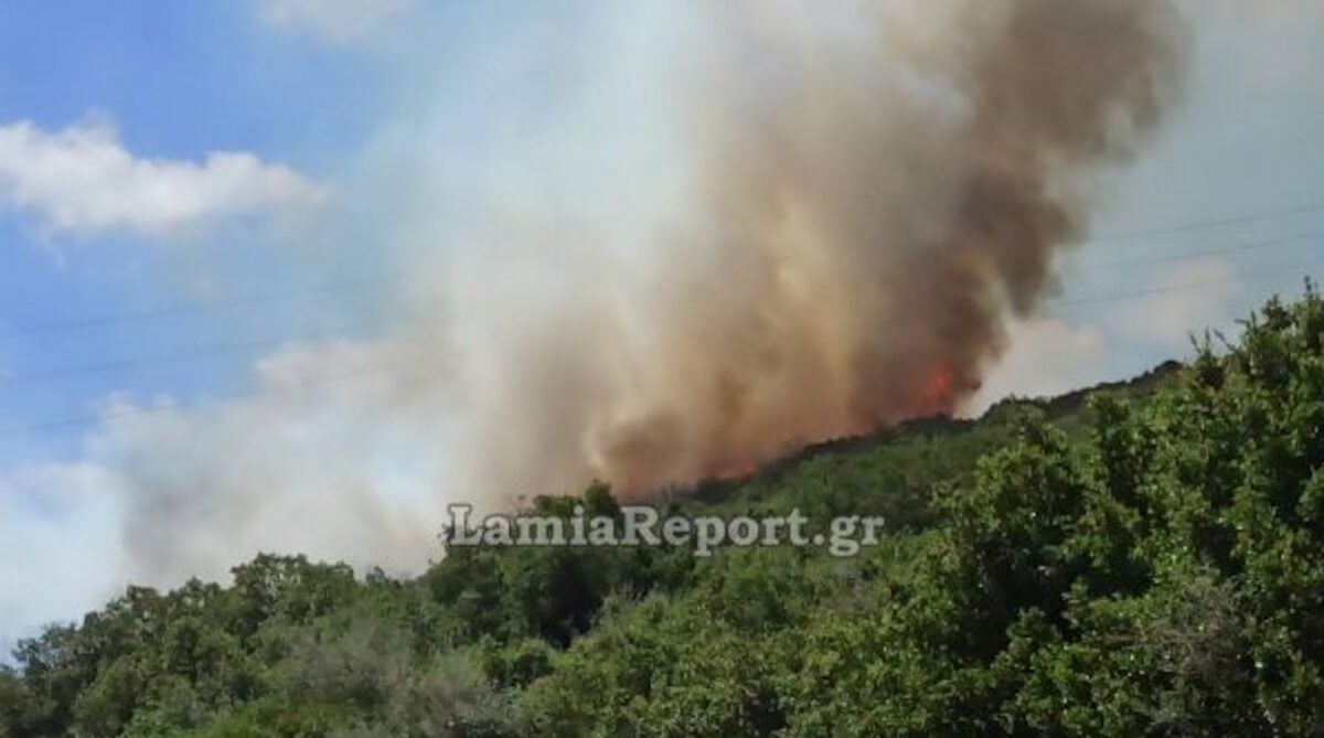 Φωτιά στην Καμηλόβρυση: Πέρασε την παλιά εθνική οδό Λαμίας – Λάρισας 8 Φωτιά στην Καμηλόβρυση: Πέρασε την παλιά εθνική οδό Λαμίας – Λάρισας