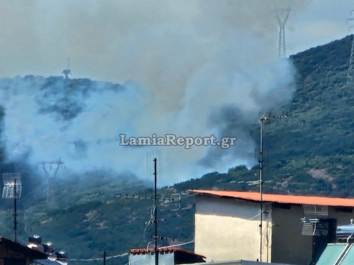 Φωτιά στην Καμηλόβρυση: Πέρασε την παλιά εθνική οδό Λαμίας – Λάρισας 9 Φωτιά στην Καμηλόβρυση: Πέρασε την παλιά εθνική οδό Λαμίας – Λάρισας