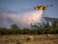 Φωτιά στη Θεσπρωτία, στην περιοχή Πλαταριά – Επιχειρούν εναέρια μέσα