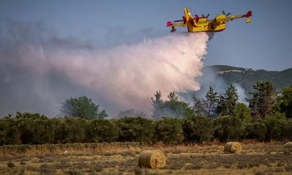 Φωτιά στη Θεσπρωτία, στην περιοχή Πλαταριά – Επιχειρούν εναέρια μέσα