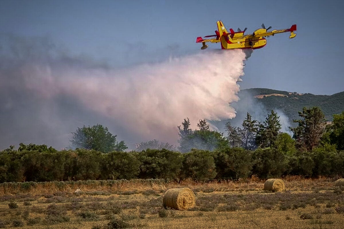 Φωτιά στη Θεσπρωτία, στην περιοχή Πλαταριά – Επιχειρούν εναέρια μέσα