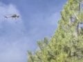 Φωτιές: Σε «κίτρινο συναγερμό» για κίνδυνο πυρκαγιάς την Τρίτη 35 περιοχές της χώρας