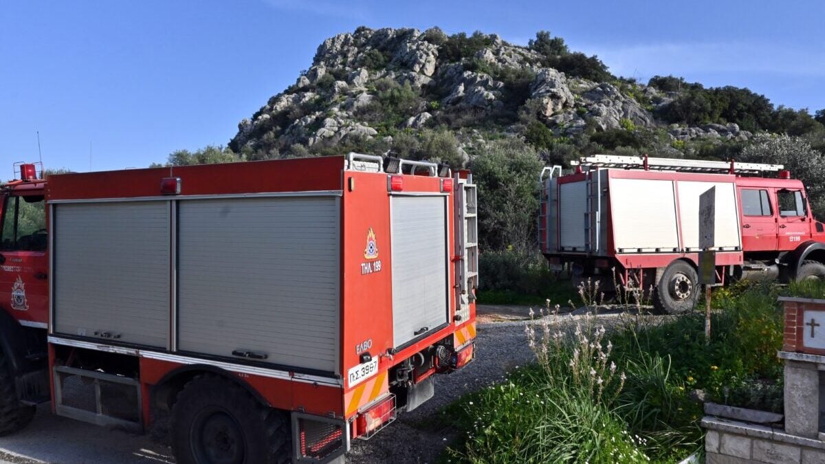Φωτιά στη Φθιώτιδα, στην περιοχή Νέο Μοναστήρι – Επιχειρούν εναέρια μέσα 1 Φωτιά στη Φθιώτιδα, στην περιοχή Νέο Μοναστήρι – Επιχειρούν εναέρια μέσα