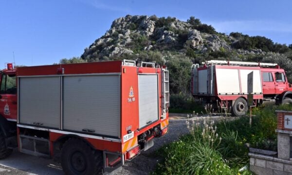 Φωτιά στη Φθιώτιδα, στην περιοχή Νέο Μοναστήρι – Επιχειρούν εναέρια μέσα