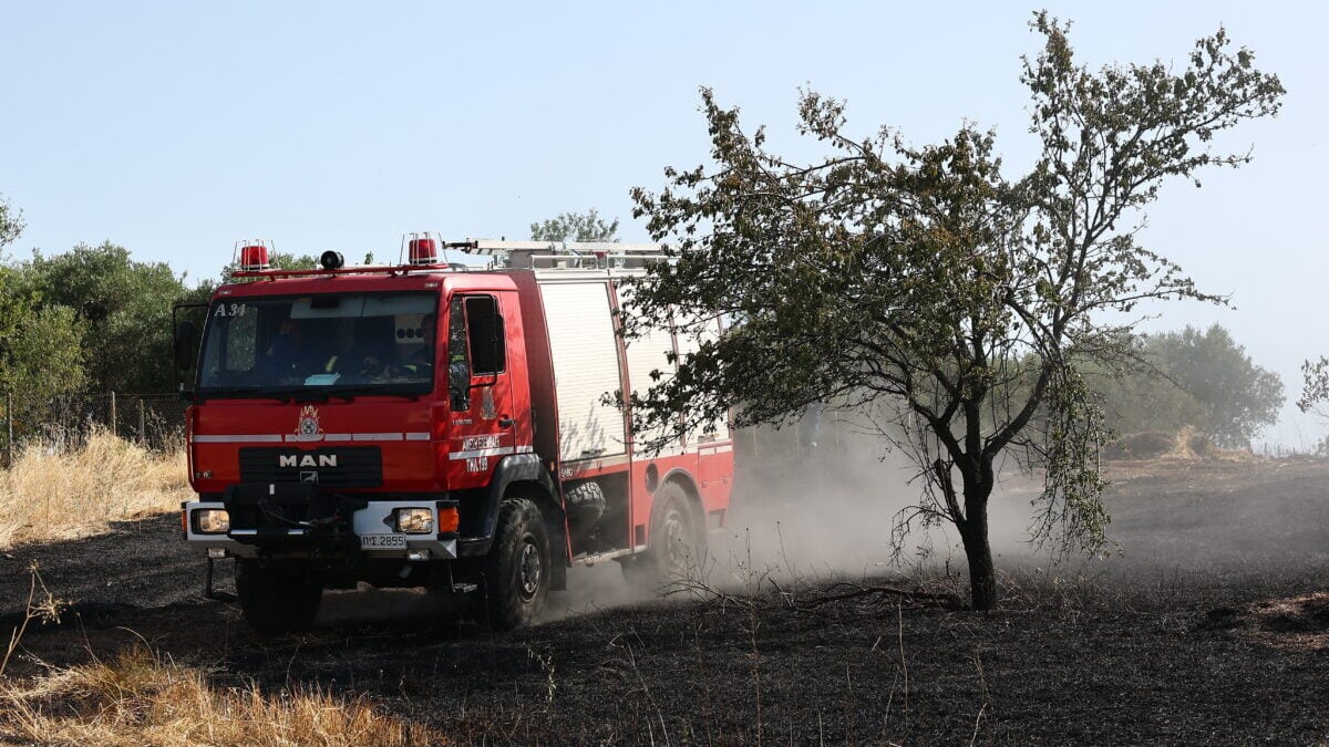 Φωτιά στη Νάξο στην περιοχή Μικρή Βίγλα 1 Φωτιά στη Νάξο στην περιοχή Μικρή Βίγλα