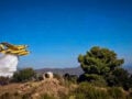 Δημοσθένης Σαρηγιάννης για φωτιές: Δραματικές και μη αναστρέψιμες επιπτώσεις στον άνθρωπο και το οικοσύστημα