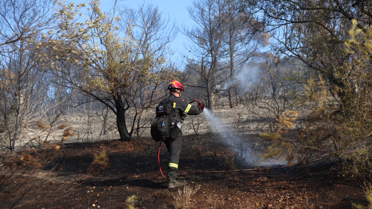 Φωτιές: Συλλήψεις σε Αττική, Λέσβο και Ζάκυνθο – Πρόστιμα 3.000 ευρώ για ψησταριά και ηλεκτροσυγκόλληση 1 Φωτιές: Συλλήψεις σε Αττική, Λέσβο και Ζάκυνθο – Πρόστιμα 3.000 ευρώ για ψησταριά και ηλεκτροσυγκόλληση