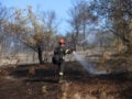 Φωτιές: Συλλήψεις σε Αττική, Λέσβο και Ζάκυνθο – Πρόστιμα 3.000 ευρώ για ψησταριά και ηλεκτροσυγκόλληση