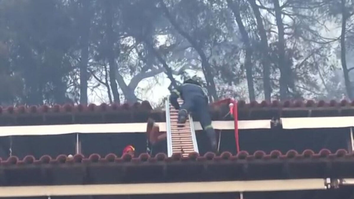 Φωτιά στη Χαλκιδική: Η στιγμή που πυροσβέστης χάνει την ισορροπία του και πέφτει από σκάλα σε σκεπή 1 Φωτιά στη Χαλκιδική: Η στιγμή που πυροσβέστης χάνει την ισορροπία του και πέφτει από σκάλα σε σκεπή