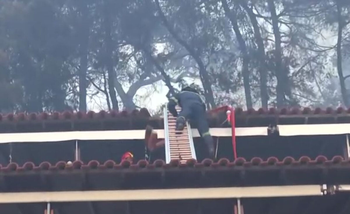 Φωτιά στη Χαλκιδική: Η στιγμή που πυροσβέστης χάνει την ισορροπία του και πέφτει από σκάλα σε σκεπή