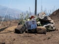 Φωτιά στο Ρέθυμνο: Ελεύθερος με περιοριστικούς όρους ο υπάλληλος του ΔΕΔΔΗΕ