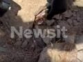 Μύκονος: Βίντεο με τους αστυνομικούς να εντοπίζουν την τσάντα Hermès και Rolex που άρπαξε Έλληνας οδηγός από Ουκρανό τουρίστα