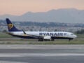 Ryanair: Ίχνη πουλιού στον κινητήρα του αεροσκάφους που έσπασε το παράθυρο και κινδύνευσε ο Σέρβος επιβάτης