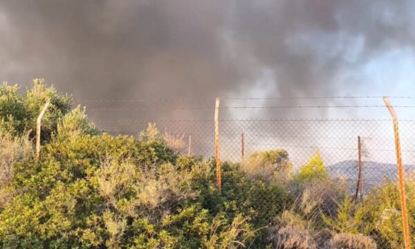 Ολονύχτια μάχη με τις φλόγες στη Βοιωτία και τις  αναζωπυρώσεις στη Σαλαμίνα