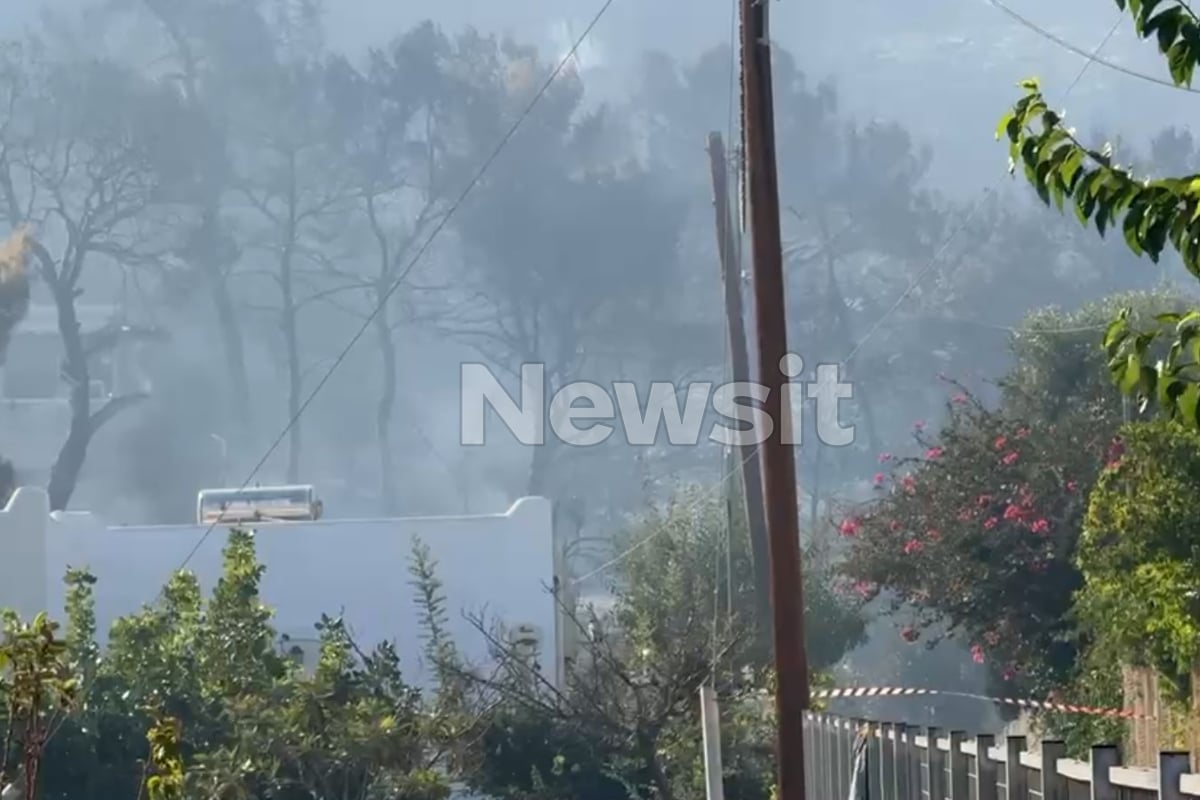Φωτιά στη Σαλαμίνα: Κάτοικοι άκουσαν έκκληση για βοήθεια – Δύο νεκροί εγκλωβίστηκαν από τους καπνούς έξω από το σπίτι τους 7 Φωτιά στη Σαλαμίνα