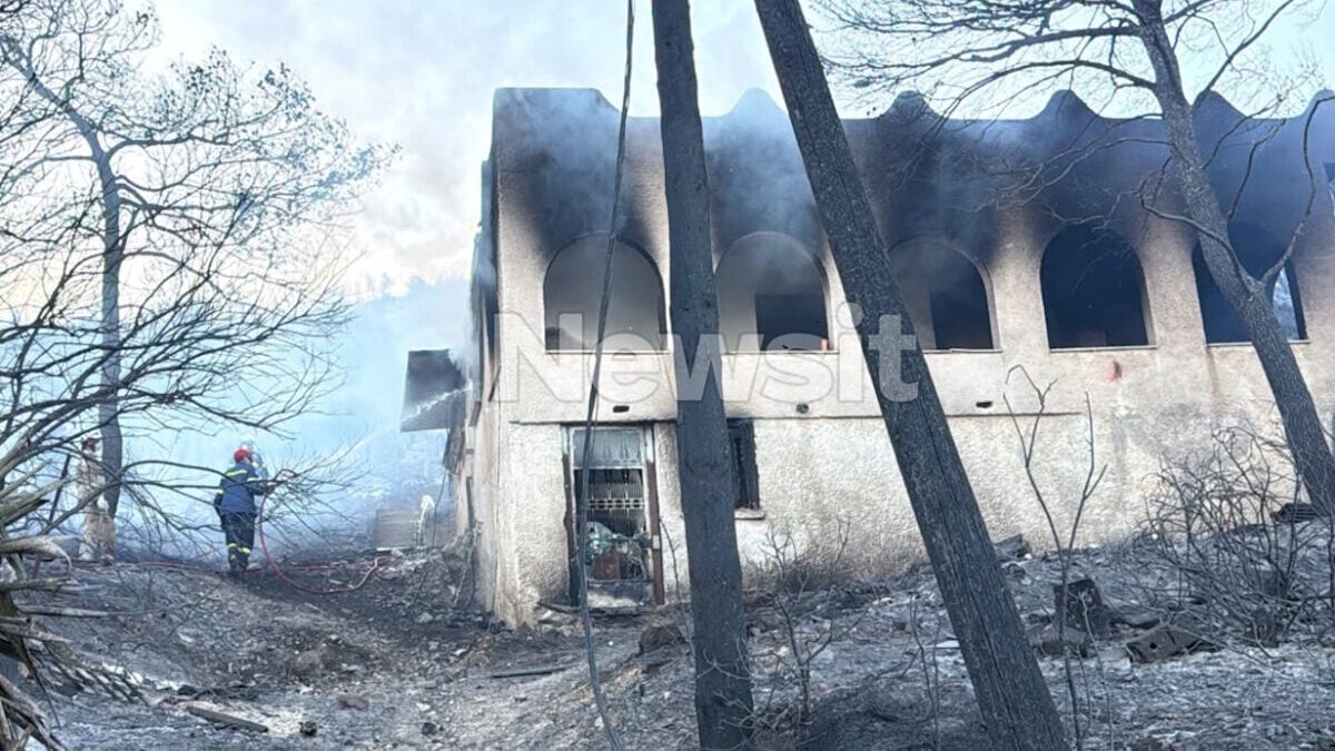 Φωτιά στη Σαλαμίνα με δύο νεκρούς: Δύο ύποπτες ταυτόχρονες εστίες και καταγγελία για ακαθάριστο οικόπεδο 6 Φωτιά στη Σαλαμίνα με δύο νεκρούς: Δύο ύποπτες ταυτόχρονες εστίες και καταγγελία για ακαθάριστο οικόπεδο