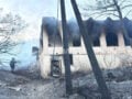 Φωτιά στη Σαλαμίνα: «Μας πήρανε τηλέφωνο και μας είπαν ελάτε γρήγορα καίγονται», λέει συγγενής του ζευγαριού που έχασε τη ζωή του