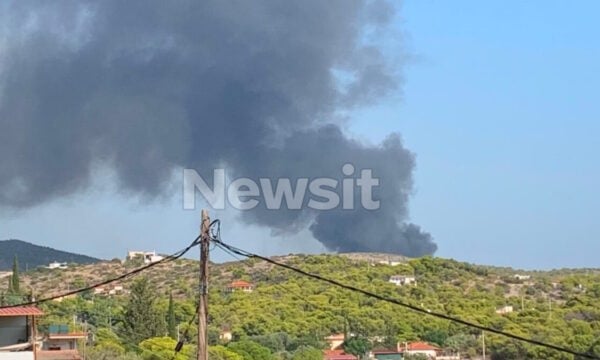 Φωτιά στο Ελληνικό Σαλαμίνας: Ρίψεις νερού από 3 αεροπλάνα και 1 ελικόπτερο