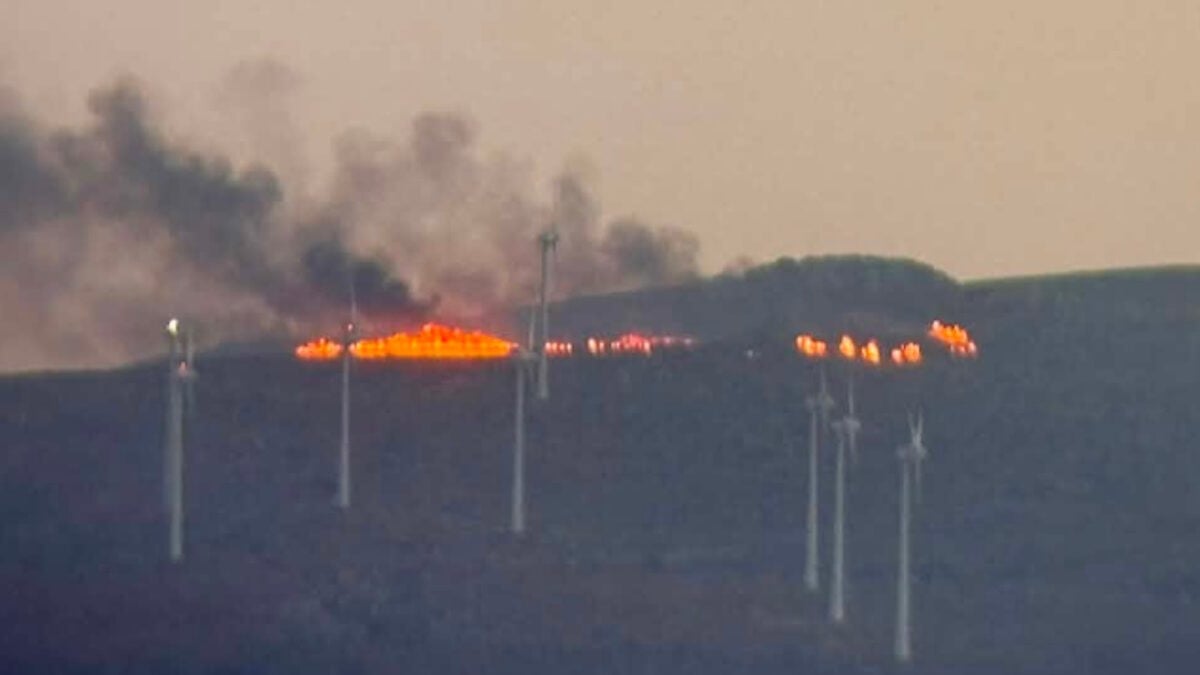 Φωτιά στη Σητεία, στην περιοχή Αχλαδιά 1 Φωτιά στη Σητεία, στην περιοχή Αχλαδιά
