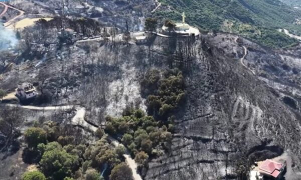 Φωτιά στη Φωκίδα: Συγκλονιστικές εικόνες από drone με τις καταστροφές στο Σκάλωμα