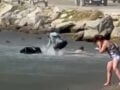 Σκιάθος: Τουρίστες και βαλίτσες παρασύρονται από τουρμπίνες αεροπλάνου