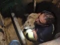 Θεσσαλονίκη: Σκύλος έπεσε σε τρύπα 3 μέτρων – Η διάσωσή του από την πυροσβεστική
