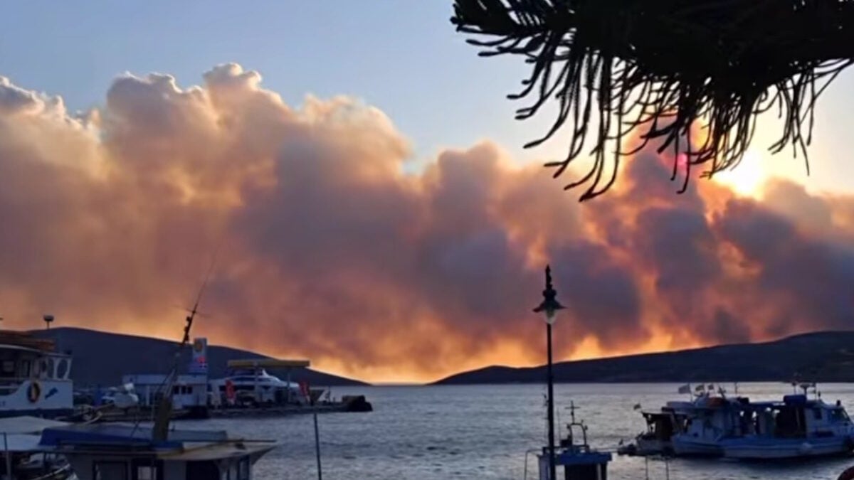 Φωτιά στη Σκύρο: Ξεκίνησαν ξανά οι εναέριες ρίψεις – Μάχη με τους ισχυρούς ανέμους 7 μποφόρ 1 Φωτιά στη Σκύρο: Ξεκίνησαν ξανά οι εναέριες ρίψεις – Μάχη με τους ισχυρούς ανέμους 7 μποφόρ