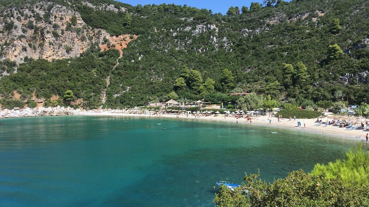 Σκόπελος: Κύκλωμα λαθρεμπορίας προστατευόμενων κοραλλιών αποκάλυψε η ΑΑΔΕ – Αξία φορτίου 800.000 ευρώ 1 Σκόπελος: Κύκλωμα λαθρεμπορίας προστατευόμενων κοραλλιών αποκάλυψε η ΑΑΔΕ – Αξία φορτίου 800.000 ευρώ